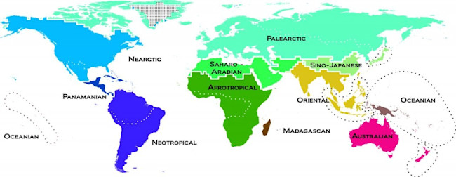 new-map-1024x397.jpg