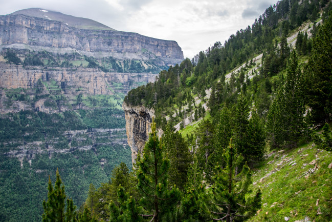 A limestone cliff in Ordesa National Park, northern Spain