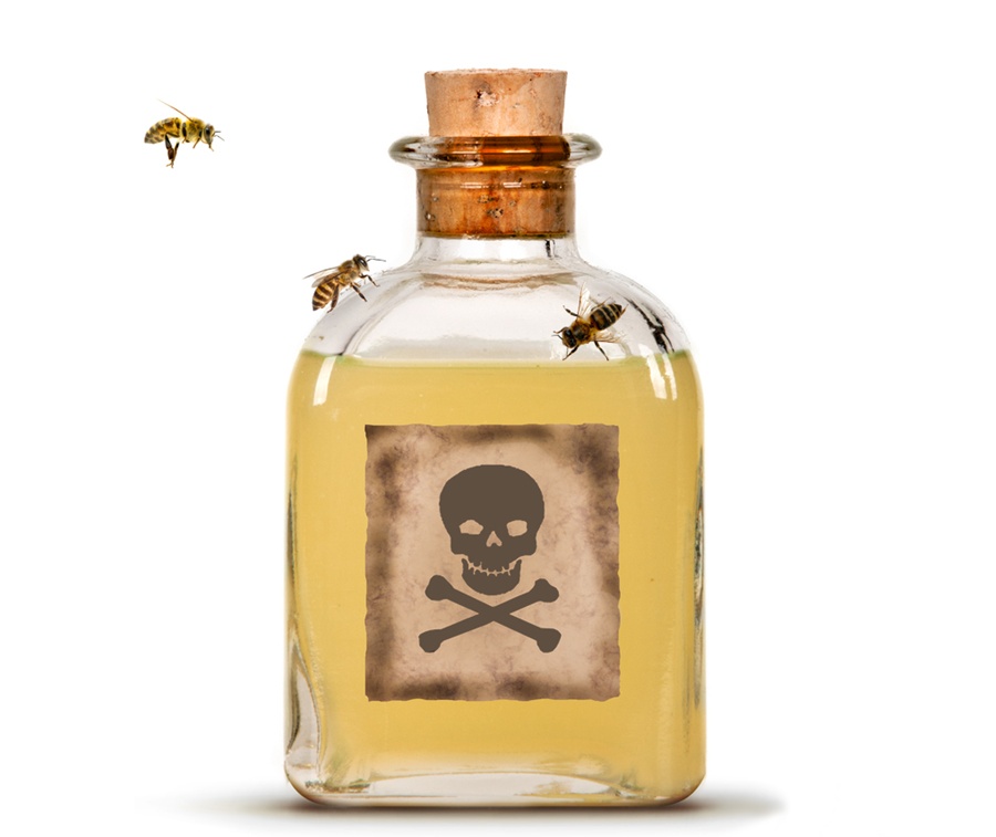 What's in a Name? Venoms vs. Poisons | Toxinology 101 | Discover Magazine