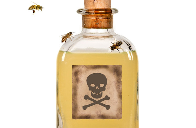 Bee Poison - Shutterstock