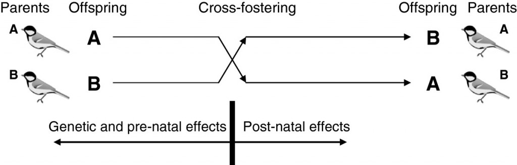 figure1-1024x327.jpg