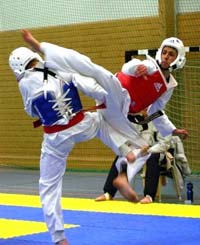 Taekwondo.jpg