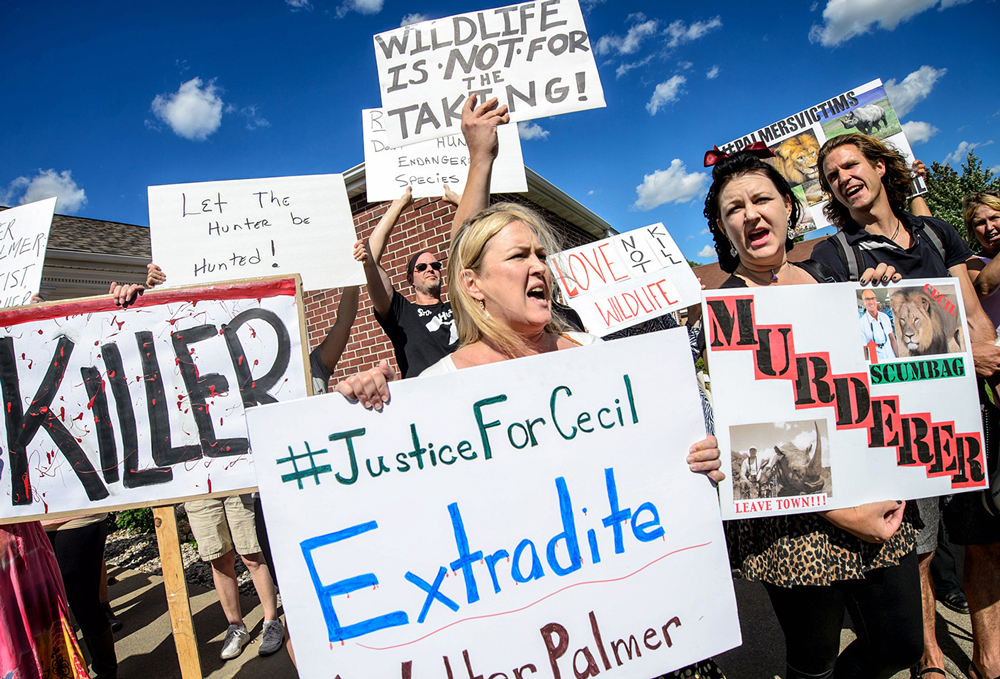 cecilprotest.jpg