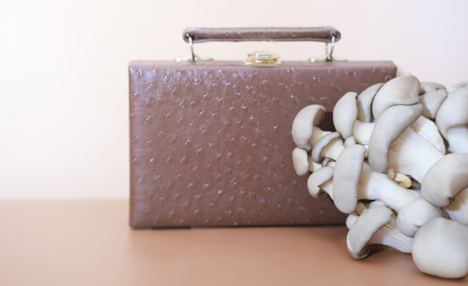 Hermès + MycoWorks unveil mushroom-based 'leather' bag made from fine  mycelium