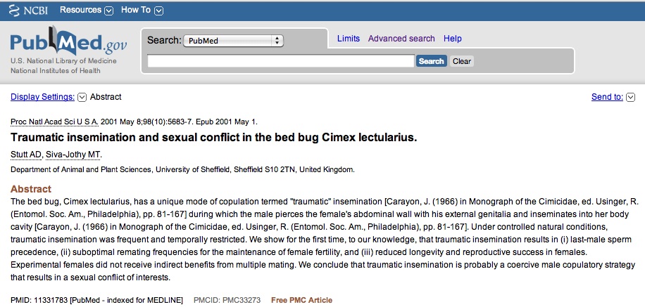 bedbug.jpg