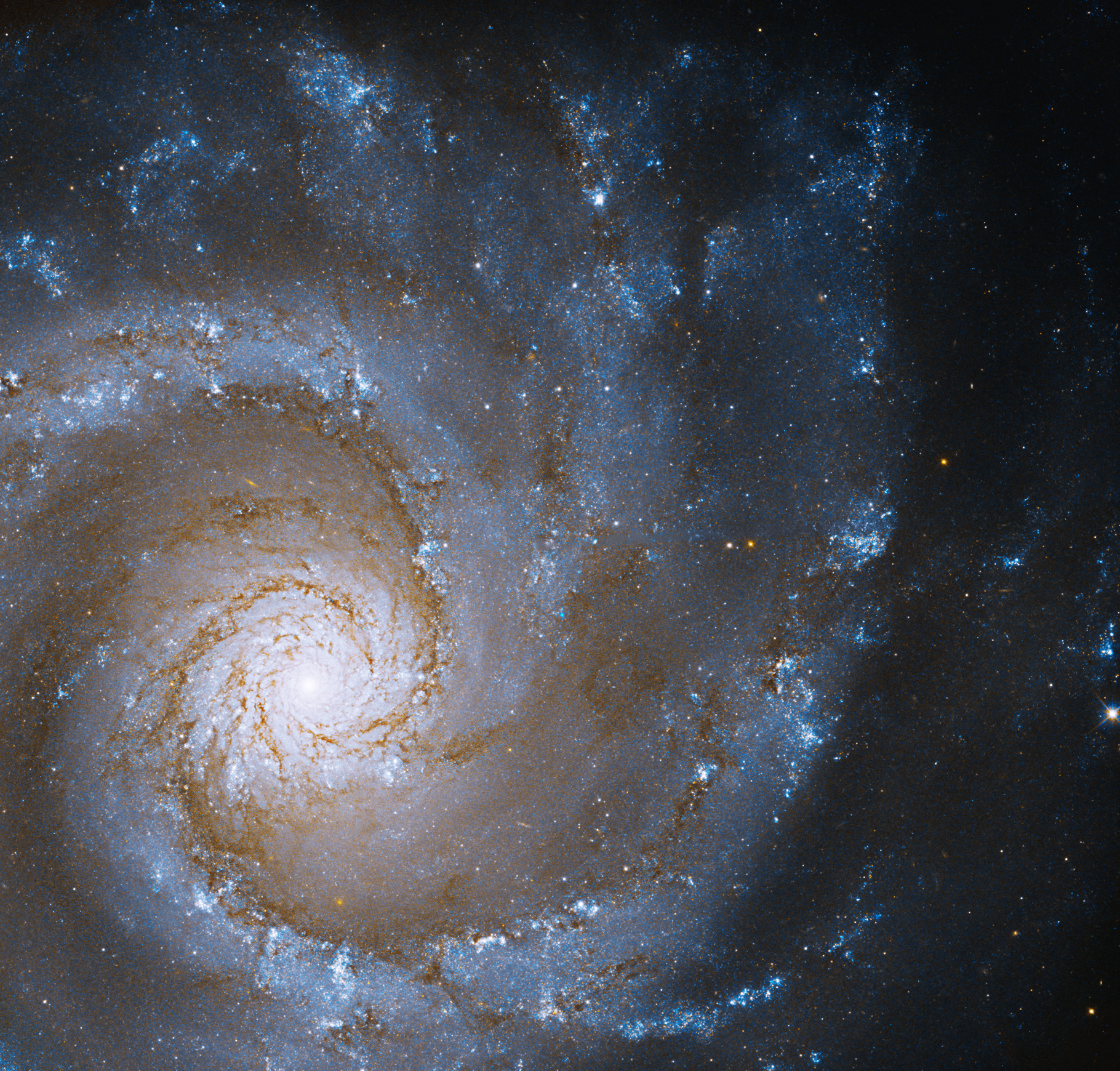 Hubble picture hot sale of universe