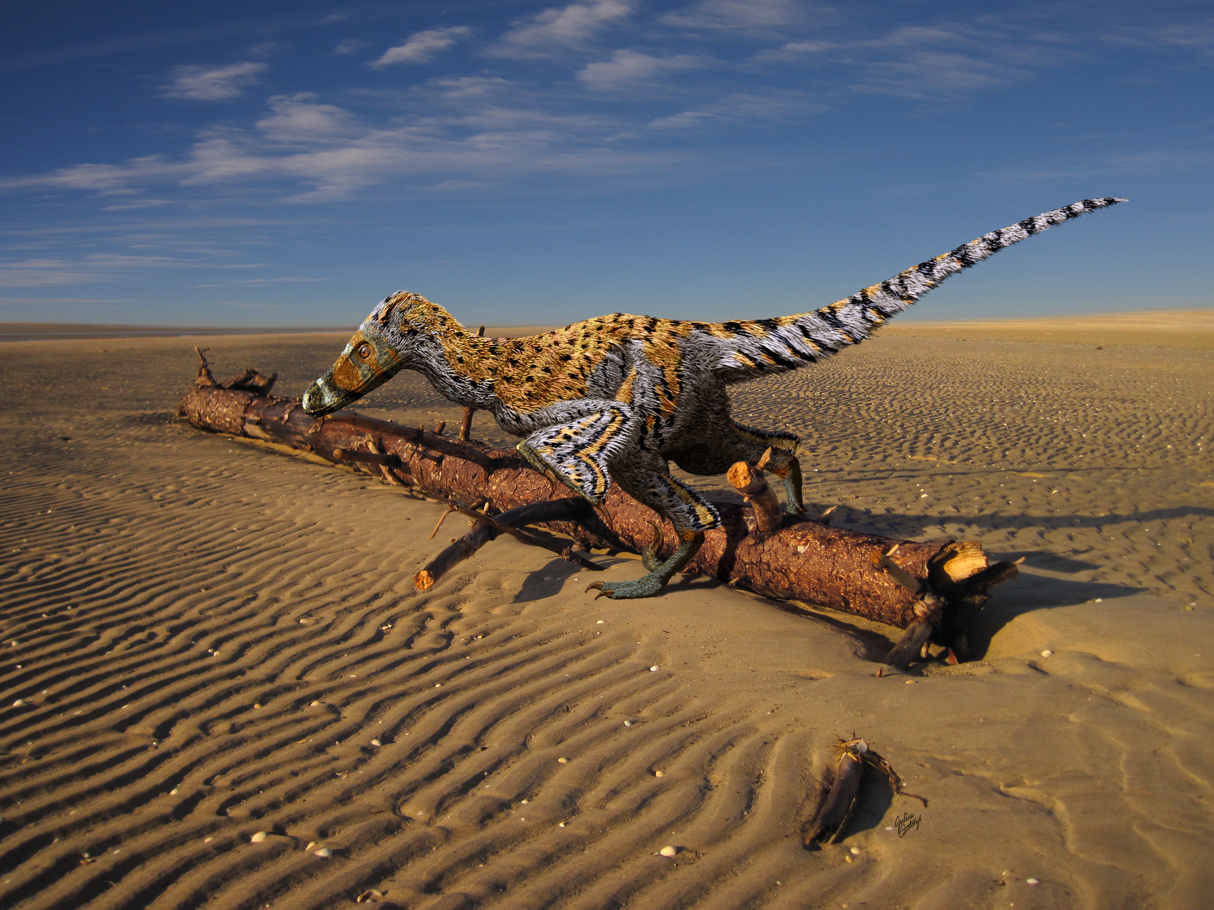 Linheraptor-reconstruction_c-Julius-Csotonyi.jpg