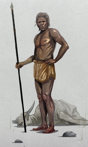 homosapienshg