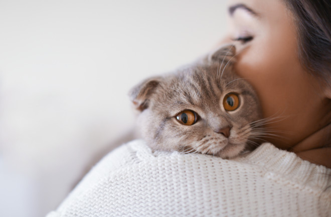 Woman hugging a cat 