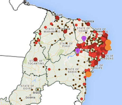 zika-virus-overlay-2.jpg