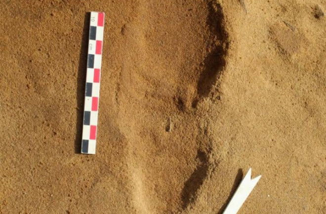 Neanderthal-Footprint