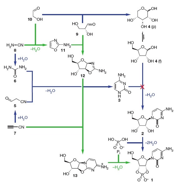 rna-roadmap600.jpg