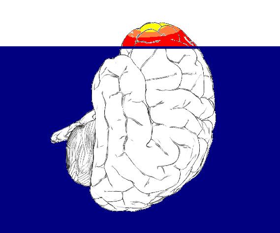 tip-of-brain.jpg