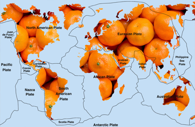 oranges.jpg