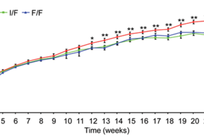 journal.pgen.1000599.g004.png