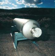 yucca_6.jpg
