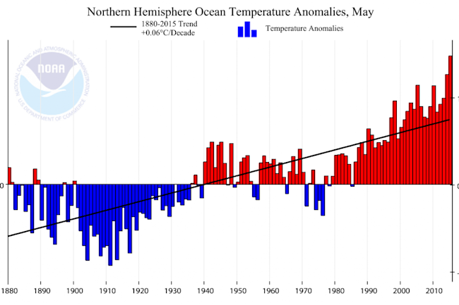 Climate_at_a_Glance__Time_Series___National_Centers_for_Environmental_Information__NCEI_1-1024x601.png