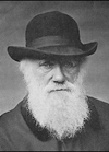 darwin.jpg