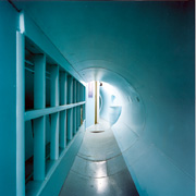 shelter_1.jpg