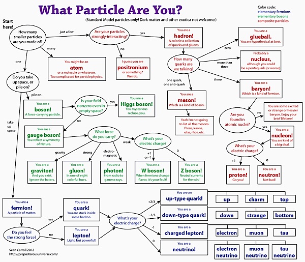 Particle Chart