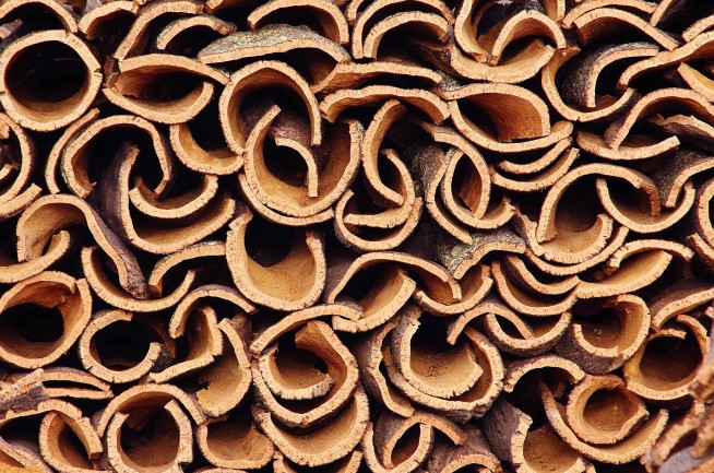Cork Trees - Shutterstock