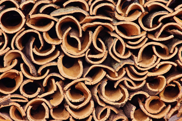Climate Change Lessons From an Unlikely Source — America’s Forgotten Cork Crisis
