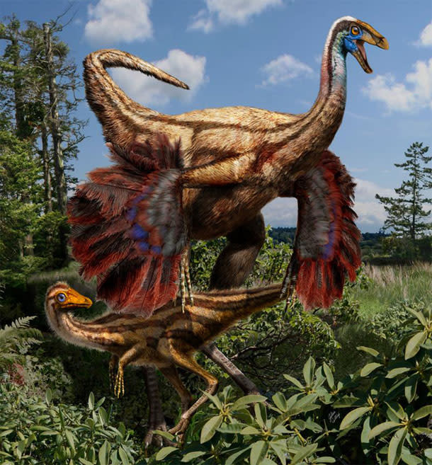 Ornithomimus.jpg