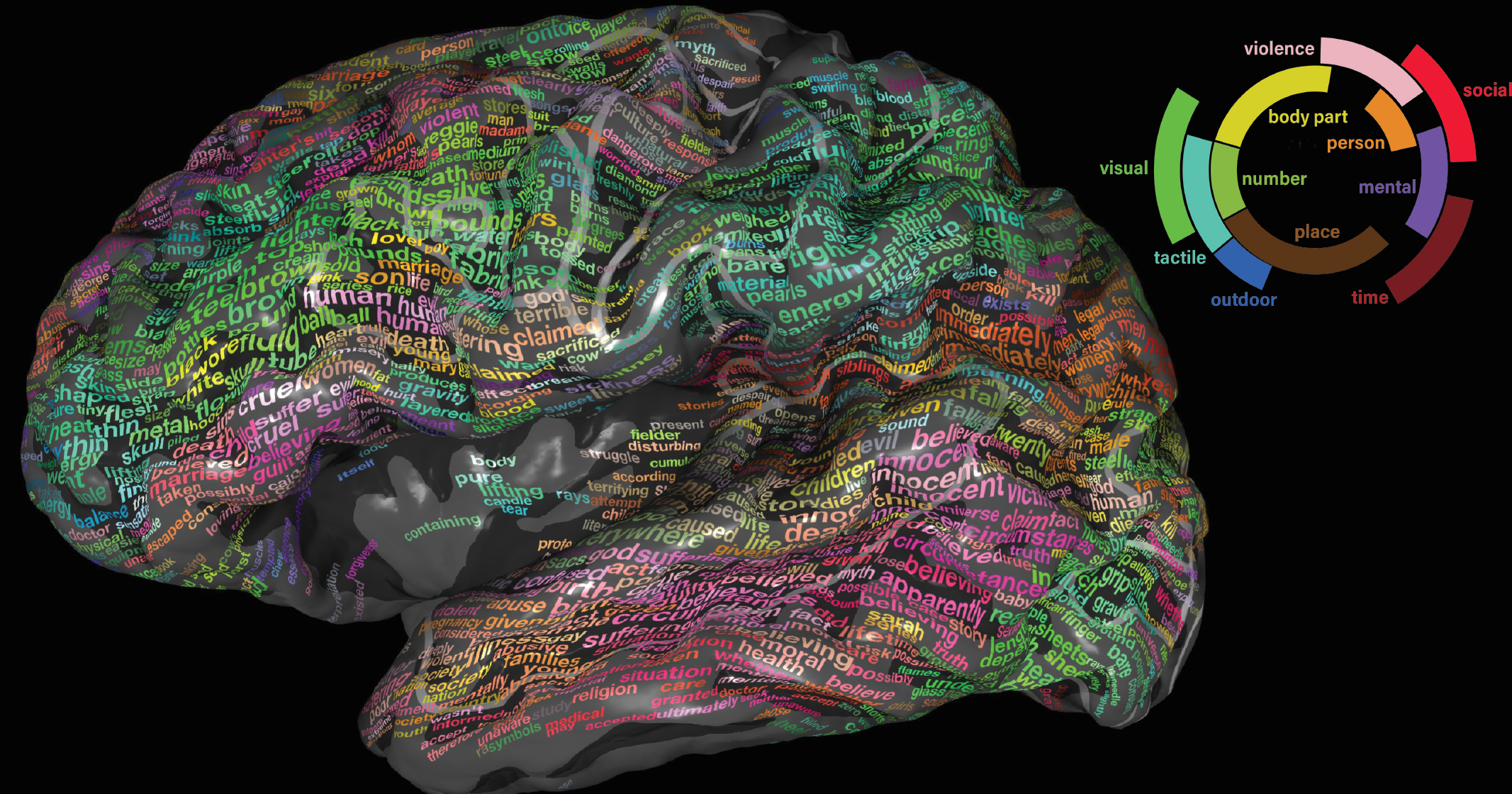 Semantic Brain Map - University of California