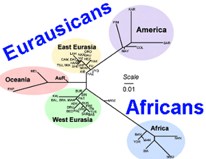 eurasicans.png