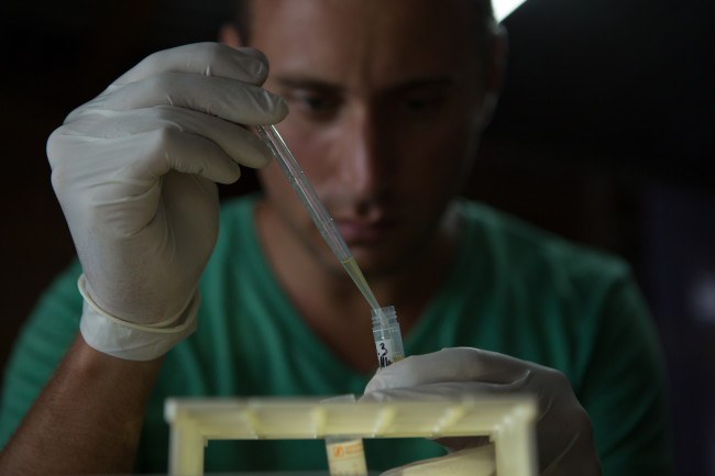 Chris Golden, doing what he does best: collecting virus samples while trying to stay extremely safe. (Credit: NatGeo/Jon Betz)