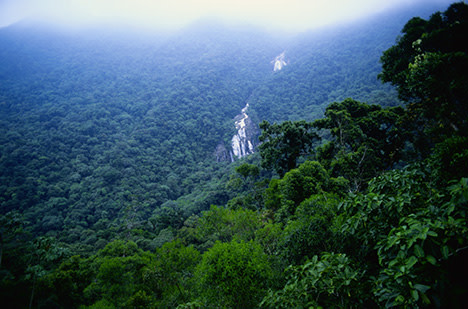 waterfall-in-amazon-forest-080801.jpg
