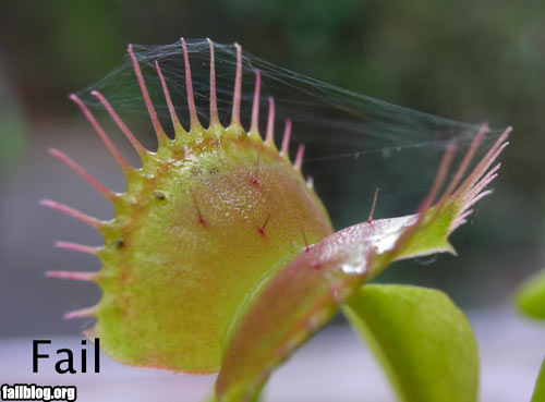 fail-owned-flytrap-fail.jpg