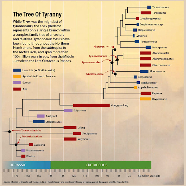 Tyrannosaur Family Tree - Bishop/Discover