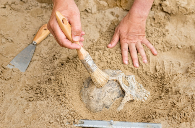 Archeologist uncovers skull