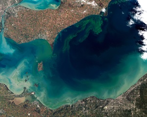 algae-bloom