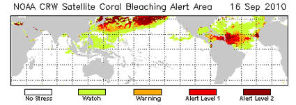 coral-reef-map.jpg