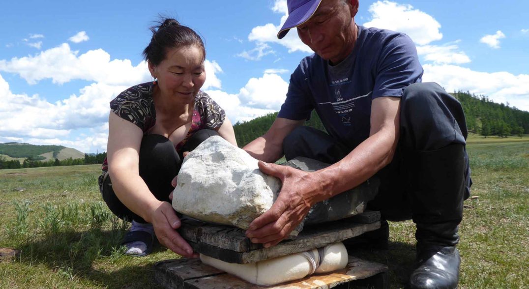 What Mongolia's Dairy Farmers Have to Teach Us About the Hidden History of Microbes Discover