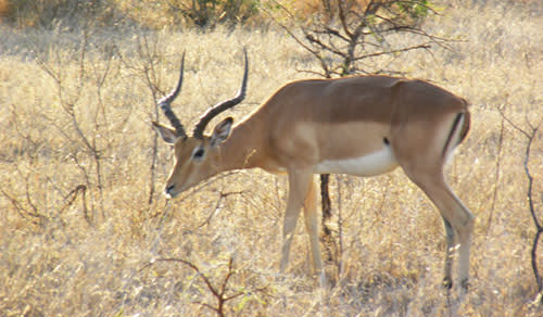 South-Africa_166.jpg