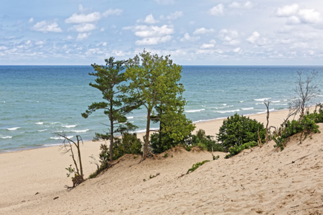 What S Causing These Strange Holes At Indiana Dunes National Park Discover Magazine