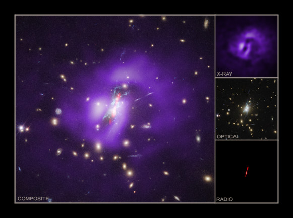 Phoenix Galaxy Cluster Multi-Wavelength