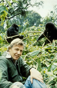 An interview with David Attenborough | Discover Magazine