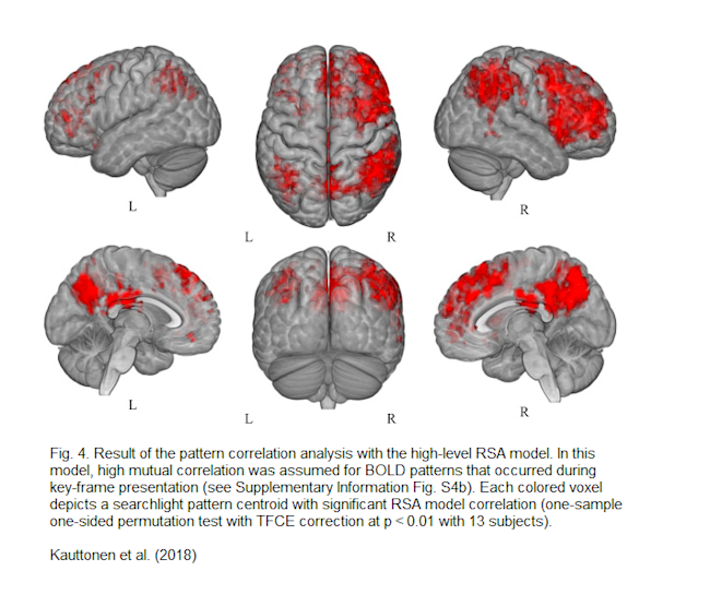 Kauttonen_fmri_memento.png