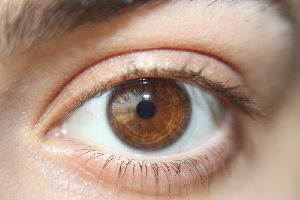 Pupil Size May Be Linked to Intelligence