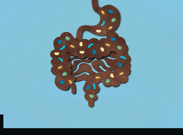 New Clues To Chronic Diseases Turn Up In The Gut Discover Magazine