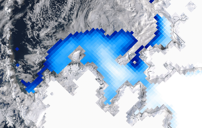 Untitled1.gif