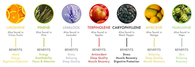Terpene chart