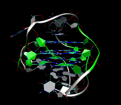 telomerestructure.gif