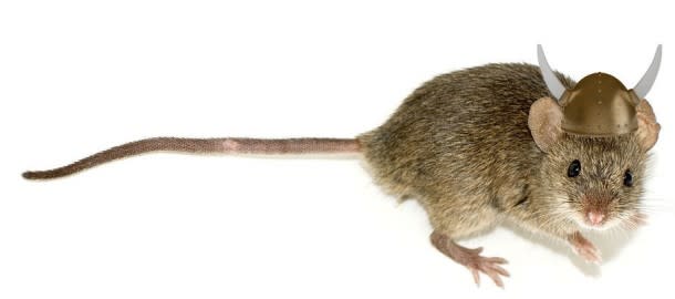 viking-mouse-610x270.jpg