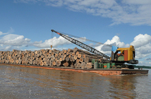 amazon-logging.jpg