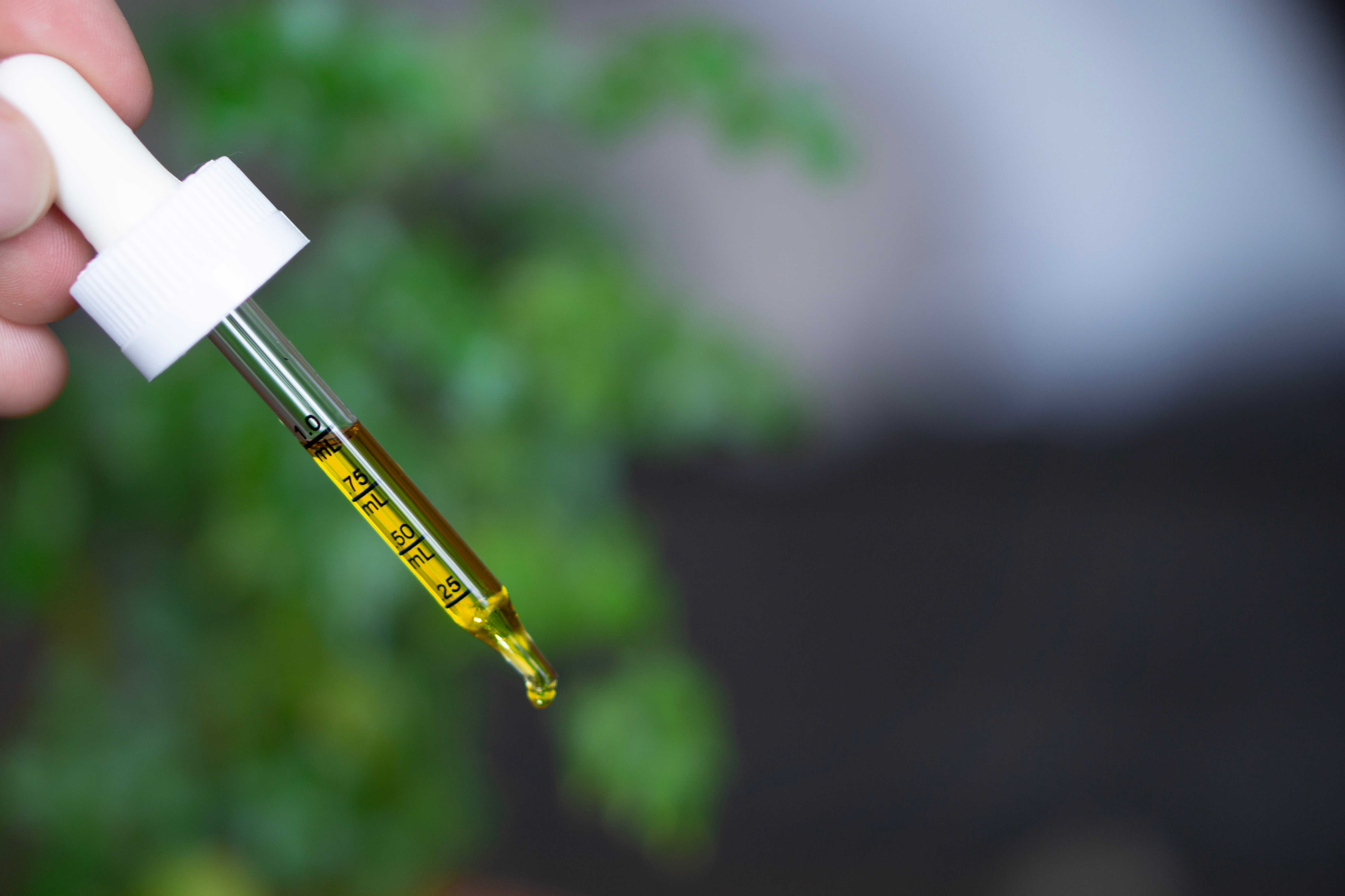 CBD Oil The 5 Best CBD Brands in the UK Reviewed 2021 Discover Magazine